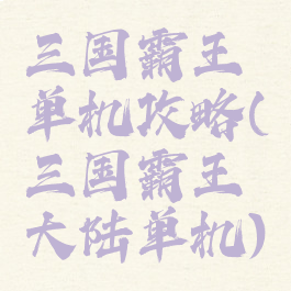 三国霸王单机攻略(三国霸王大陆单机)