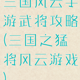 三国风云手游武将攻略(三国之猛将风云游戏)