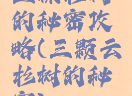 三棵杉树的秘密攻略(三颗云杉树的秘密)