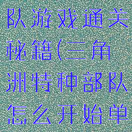 三角洲突击队游戏通关秘籍(三角洲特种部队怎么开始单人游戏)