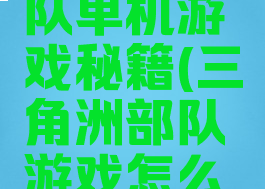 三角洲部队单机游戏秘籍(三角洲部队游戏怎么玩)