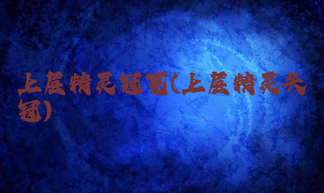 上层精灵冠冕(上层精灵头冠)