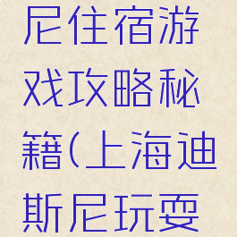 上海迪斯尼住宿游戏攻略秘籍(上海迪斯尼玩耍攻略)
