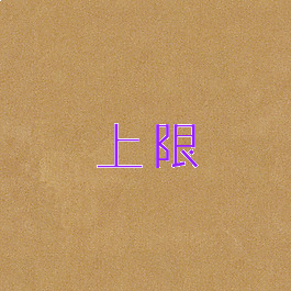上限