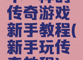 不一样的传奇游戏新手教程(新手玩传奇教程)