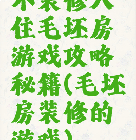 不装修入住毛坯房游戏攻略秘籍(毛坯房装修的游戏)