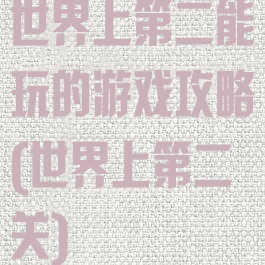 世界上第二能玩的游戏攻略(世界上第二关)