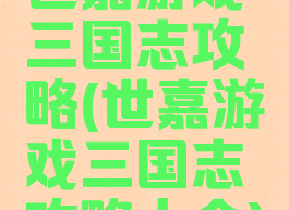 世嘉游戏三国志攻略(世嘉游戏三国志攻略大全)