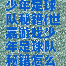 世嘉游戏少年足球队秘籍(世嘉游戏少年足球队秘籍怎么用)