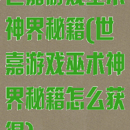 世嘉游戏巫术神界秘籍(世嘉游戏巫术神界秘籍怎么获得)