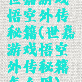 世嘉游戏悟空外传秘籍(世嘉游戏悟空外传秘籍怎么用)