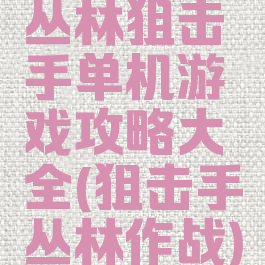 丛林狙击手单机游戏攻略大全(狙击手丛林作战)