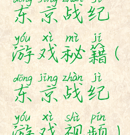东京战纪游戏秘籍(东京战纪游戏视频)