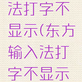 东方输入法打字不显示(东方输入法打字不显示中文)