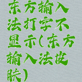 东方输入法打字不显示(东方输入法皮肤)