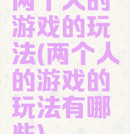两个人的游戏的玩法(两个人的游戏的玩法有哪些)
