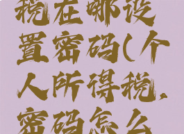 个人所得税在哪设置密码(个人所得税,密码怎么设置)