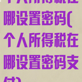 个人所得税在哪设置密码(个人所得税在哪设置密码支付)