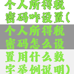个人所得税密码咋设置(个人所得税密码怎么设置用什么数字举例说明)
