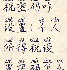 个人所得税密码咋设置(个人所得税设置密码怎么弄)