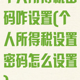 个人所得税密码咋设置(个人所得税设置密码怎么设置)