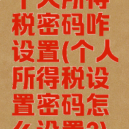 个人所得税密码咋设置(个人所得税设置密码怎么设置?)