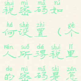 个人所得税密码如何设置(个人所得税里的密码是怎么设置的)