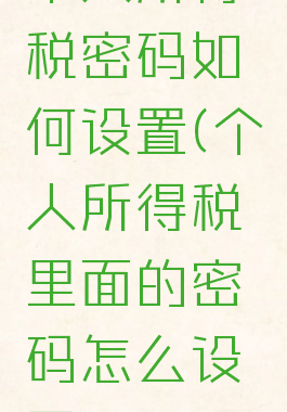 个人所得税密码如何设置(个人所得税里面的密码怎么设置)