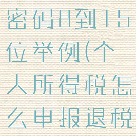 个人所得税密码8到15位举例(个人所得税怎么申报退税)