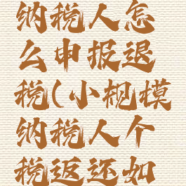个人所得税小规模纳税人怎么申报退税(小规模纳税人个税返还如何申报增值税)