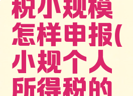 个人所得税小规模怎样申报(小规个人所得税的网上申报)