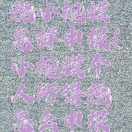 个人所得税小规模怎样申报(小规模个人所得税怎么申报视频)