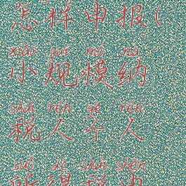 个人所得税小规模怎样申报(小规模纳税人个人所得税申报流程图2020年)