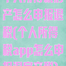 个人所得税房产怎么申报退税(个人所得税app怎么申报退房产税)