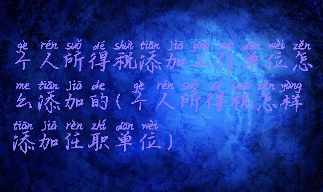 个人所得税添加工作单位怎么添加的(个人所得税怎样添加任职单位)