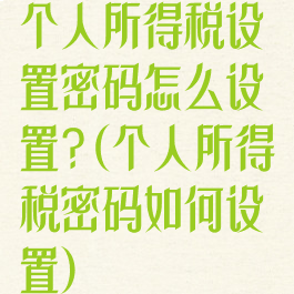 个人所得税设置密码怎么设置?(个人所得税密码如何设置)