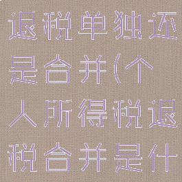 个人所得税退税单独还是合并(个人所得税退税合并是什么)