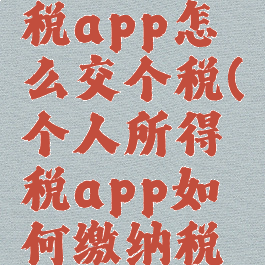个人所得税app怎么交个税(个人所得税app如何缴纳税款)