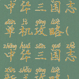 中华三国志单机攻略(中华三国志新手攻略)