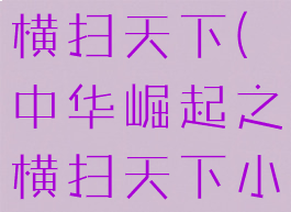 中华崛起之横扫天下(中华崛起之横扫天下小说)