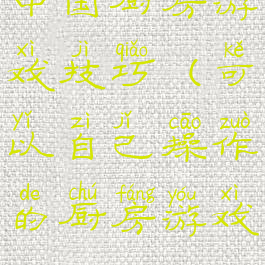 中国厨房游戏技巧(可以自己操作的厨房游戏)