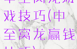 中至窝龙游戏技巧(中至窝龙赢钱技巧)