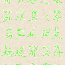 乐播投屏没有声音怎么办华为(华为手机用乐播投屏为什么没有声音)