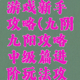 九阴九阳游戏新手攻略(九阴九阳攻略中级篇进阶玩法攻略详解)