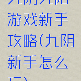 九阴九阳游戏新手攻略(九阴新手怎么玩)