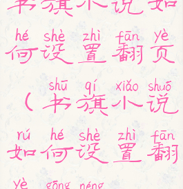 书旗小说如何设置翻页(书旗小说如何设置翻页功能)