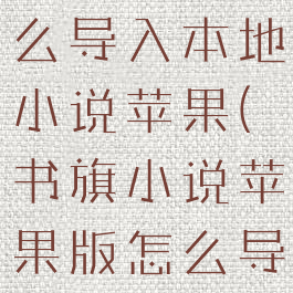 书旗小说怎么导入本地小说苹果(书旗小说苹果版怎么导入文本)