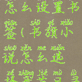 书旗小说怎么设置书签(书旗小说怎么选择章节目录)