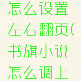 书旗小说怎么设置左右翻页(书旗小说怎么调上下翻页)