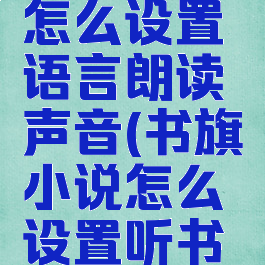 书旗小说怎么设置语言朗读声音(书旗小说怎么设置听书声音)